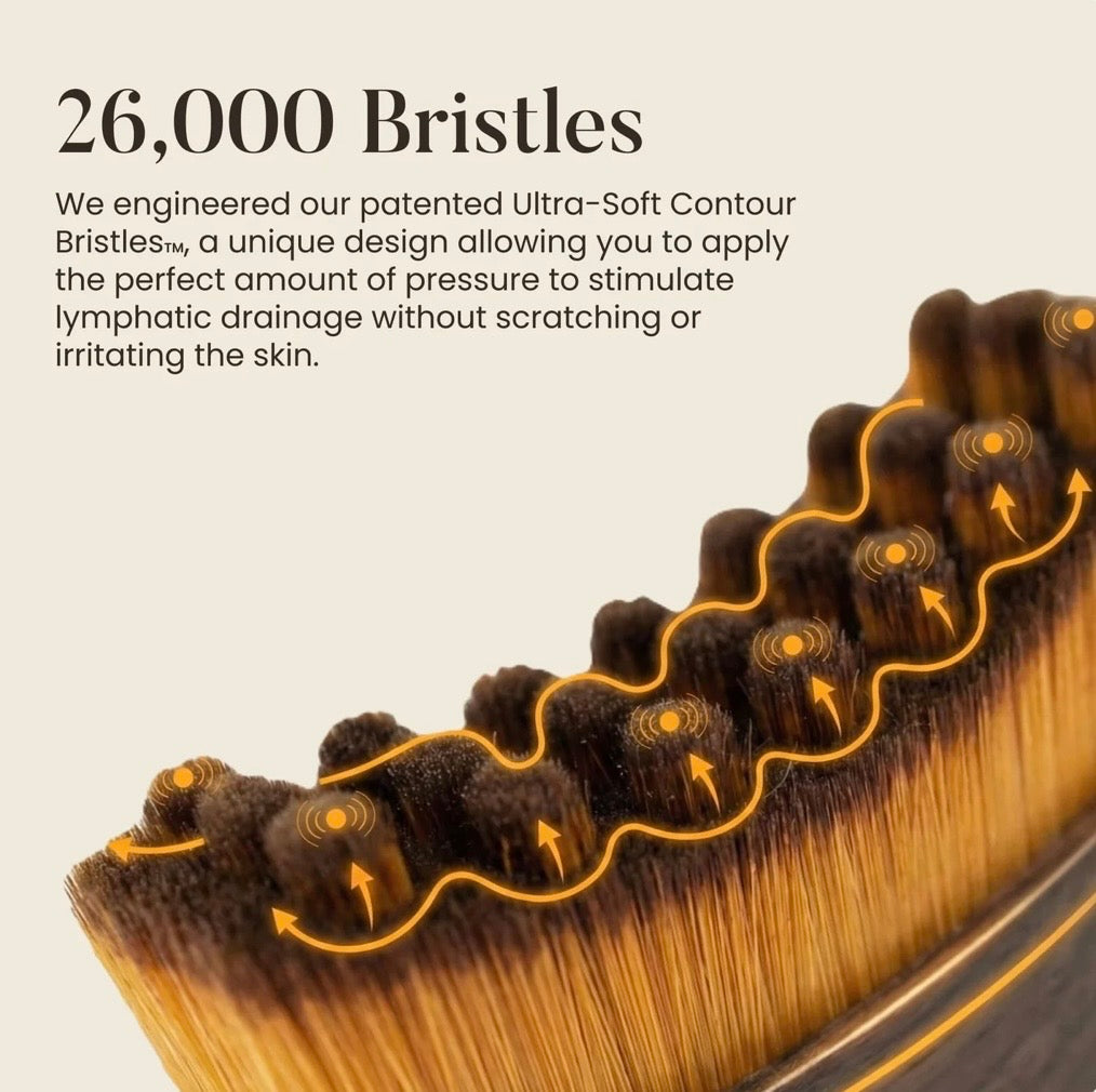 4-In-1 Lymphatic Face Brush