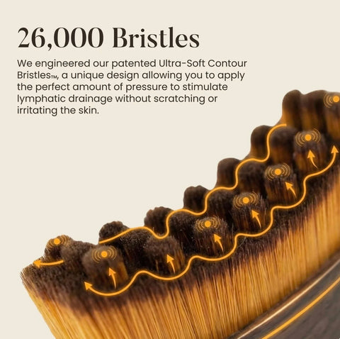 4-In-1 Lymphatic Face Brush